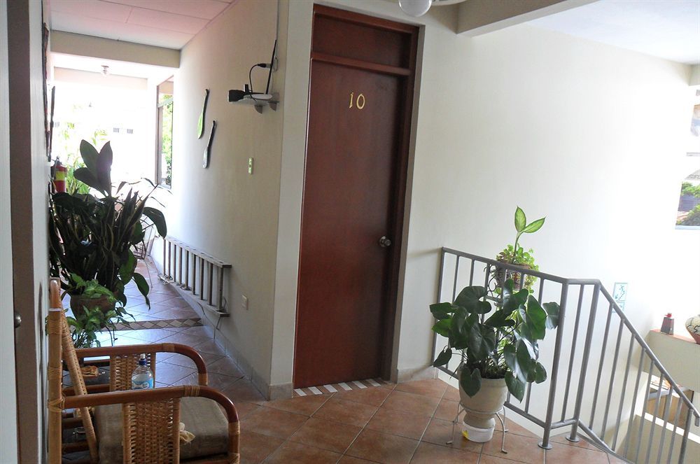 Nativa Apartments Iquitos Eksteriør billede